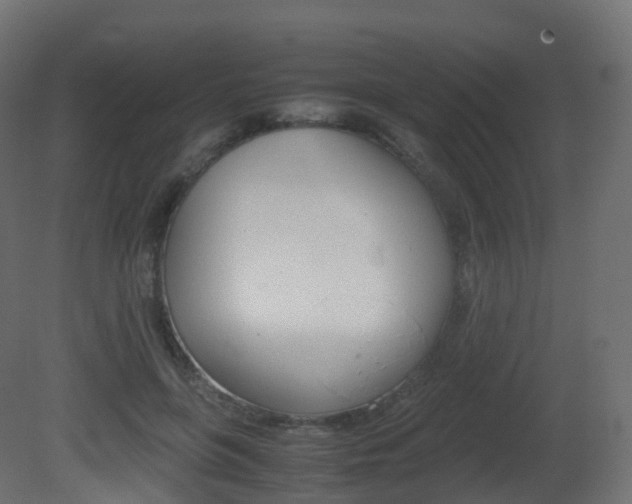 X0000081490551200701121115