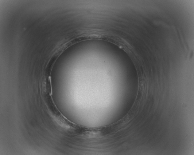 X0000081490552200701121115