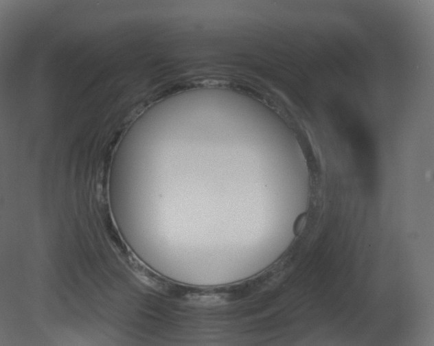 X0000081490553200701121115