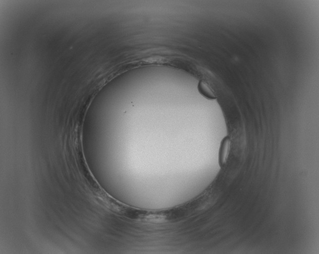 X0000081490554200701121115