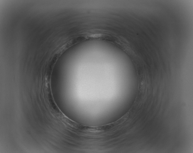 X0000081490555200701121115