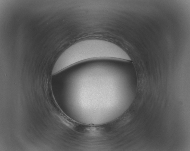 X0000081490558200701121115