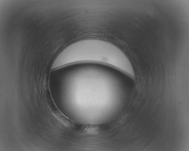 X0000081490560200701121115