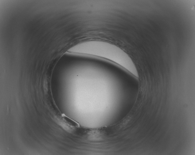 X0000081490562200701121115