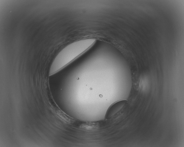X0000081490563200701121115