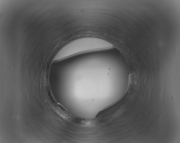 X0000081490564200701121115