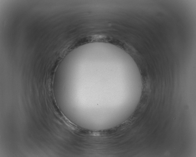 X0000081490565200701121115
