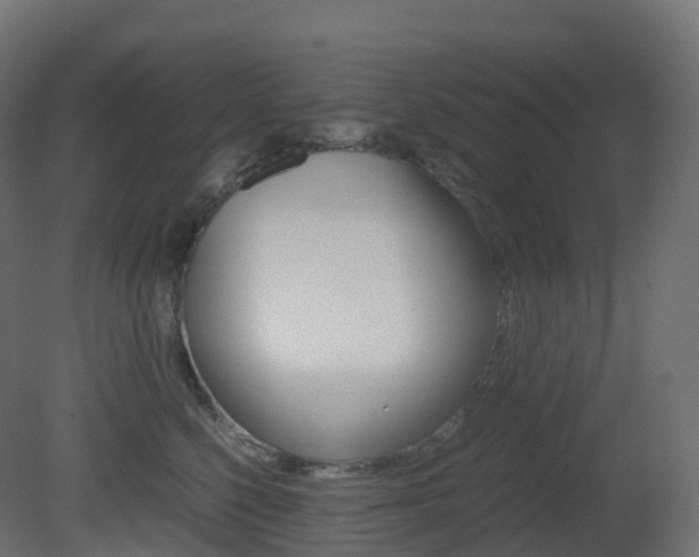 X0000081490568200701121115