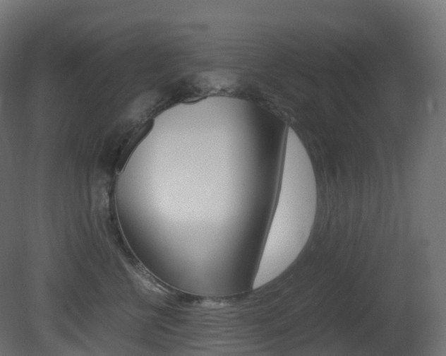 X0000081490570200701121115