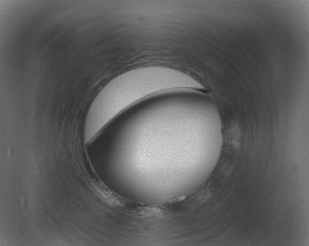 X0000081490572200701121115