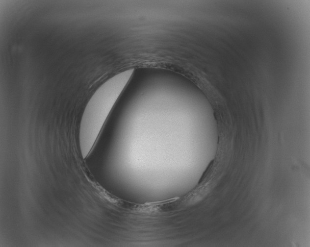 X0000081490576200701121115