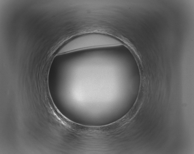 X0000081490577200701121114