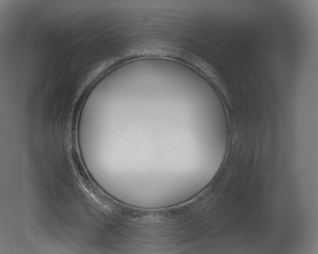 X0000081490578200701121114