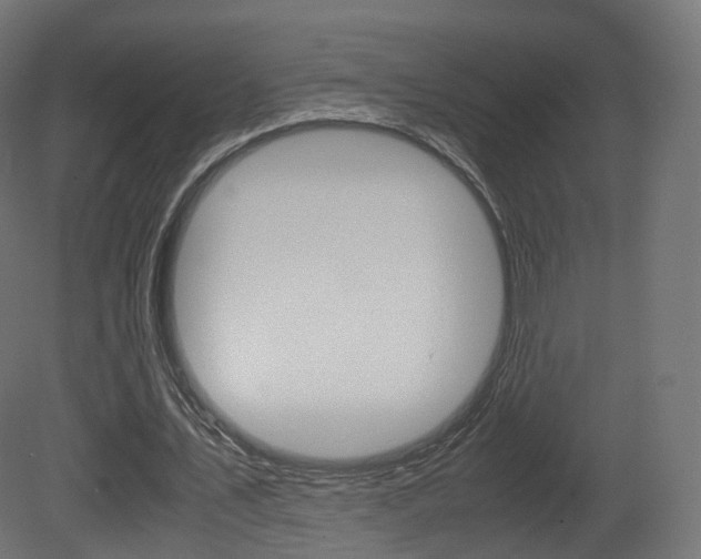 X0000081490579200701121114