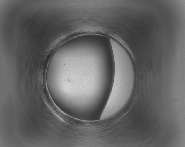 X0000081490581200701121114