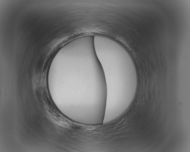 X0000081490583200701121114