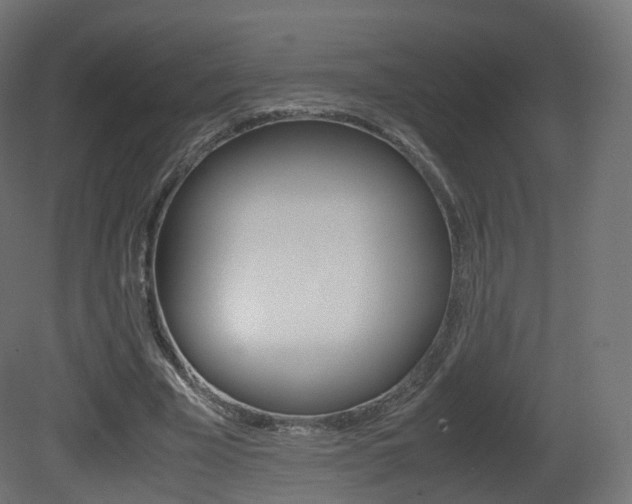 X0000081490585200701121114