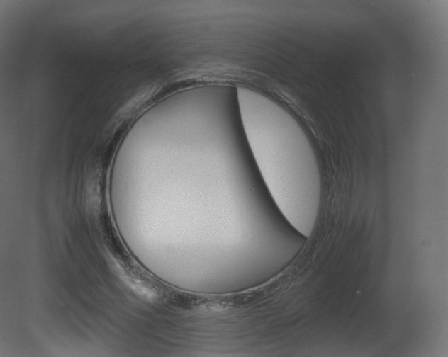X0000081490586200701121114