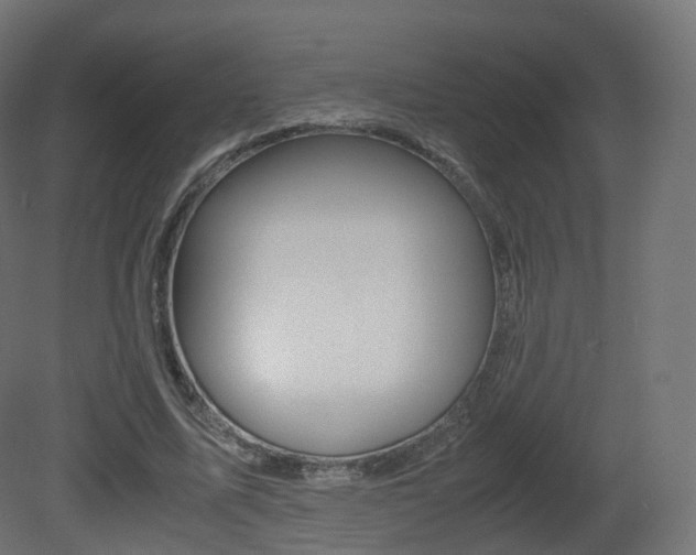 X0000081490587200701121114