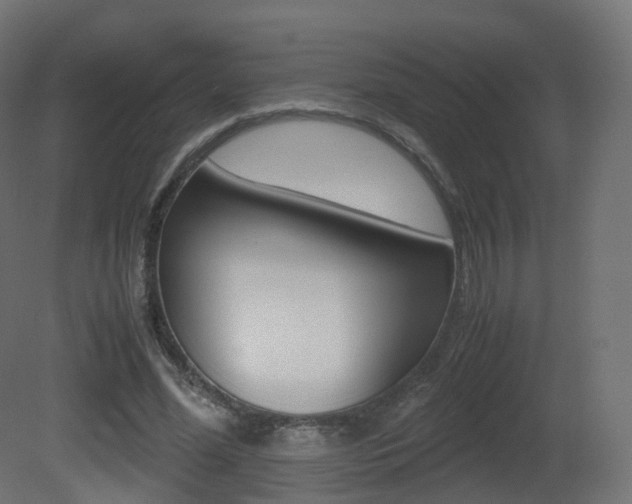 X0000081490588200701121114