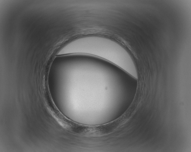 X0000081490589200701121114