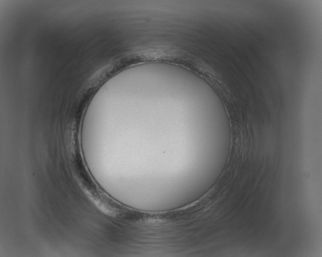 X0000081490590200701121114