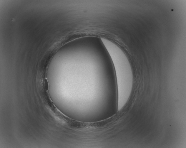 X0000081490593200701121114