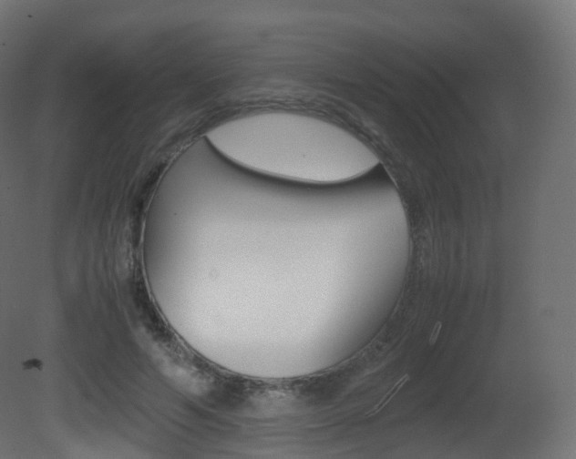 X0000081490594200701121114