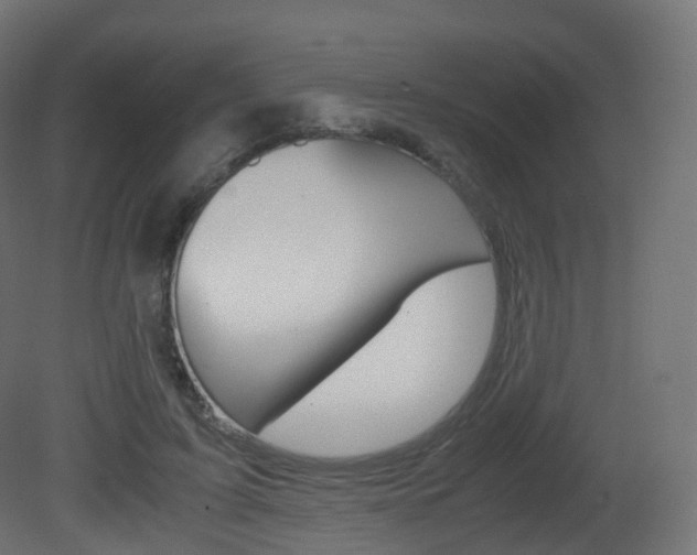 X0000081490595200701121114