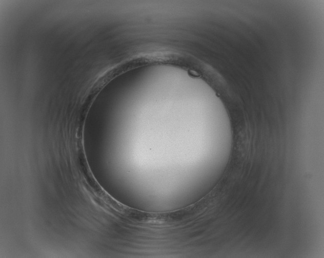 X0000081490596200701121114