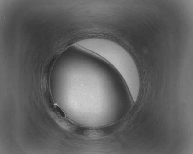 X0000081490597200701121114