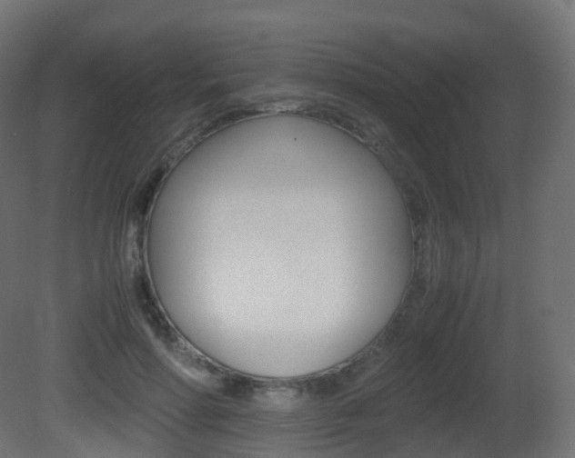 X0000081490598200701121114