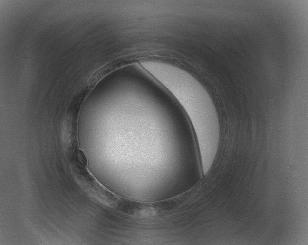 X0000081490600200701121114