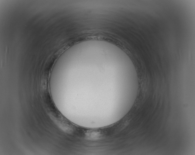 X0000081490602200701121114