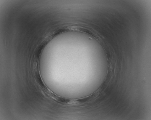 X0000081490603200701121114