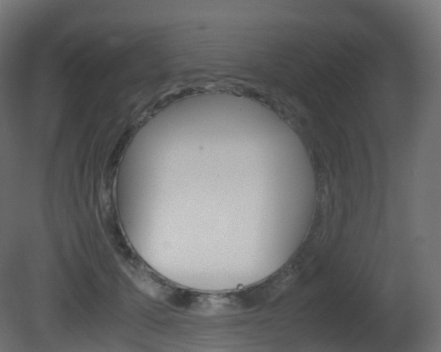 X0000081490607200701121114