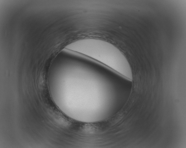X0000081490608200701121114