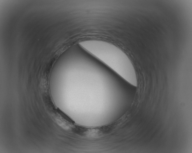 X0000081490609200701121114