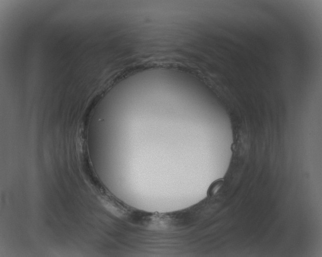 X0000081490612200701121114