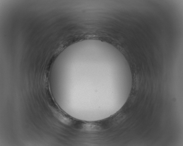 X0000081490614200701121114