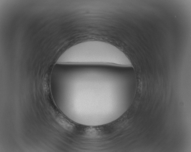 X0000081490616200701121114