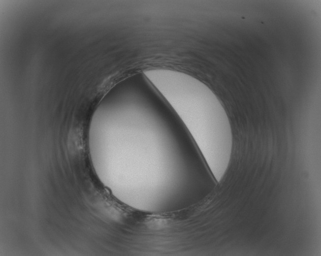 X0000081490620200701121114