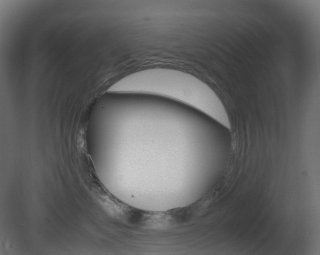 X0000081490621200701121114
