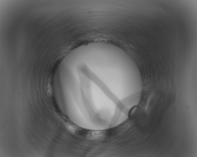X0000081490622200701121114