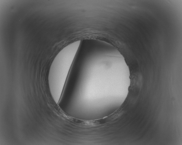 X0000081490623200701121114