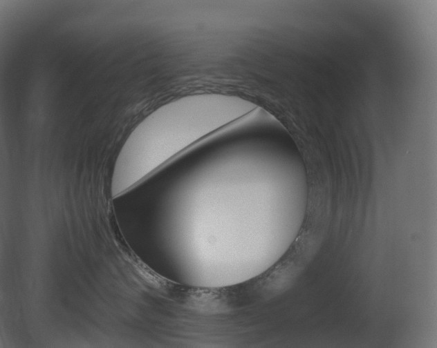 X0000081490624200701121114