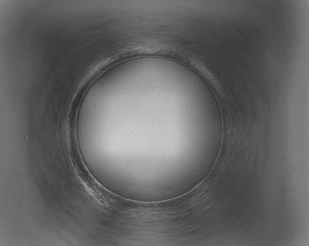 X0000081490626200701121113