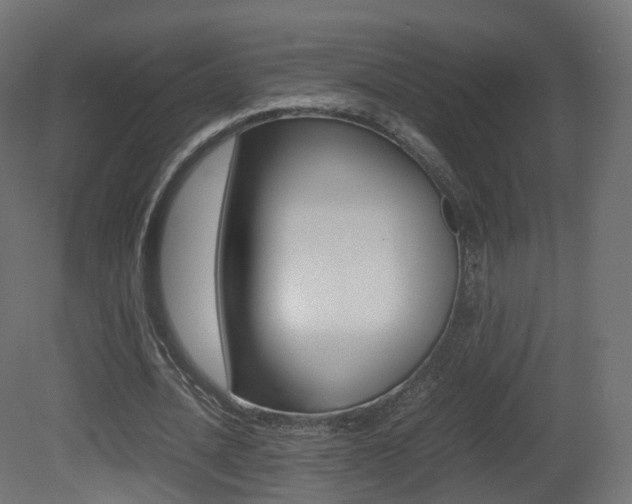 X0000081490628200701121113