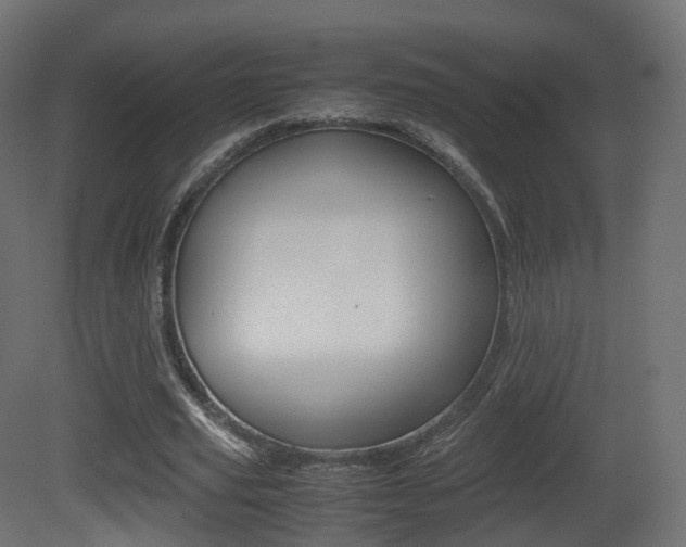 X0000081490629200701121113