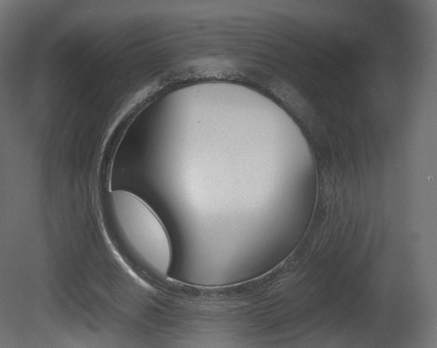 X0000081490630200701121113